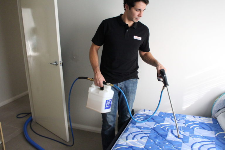 mattress cleaning perth