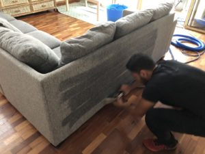 M&Co Couch Cleaning