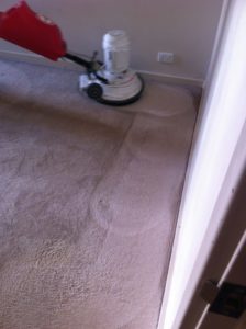 Carpet Deep Cleaning Ardross