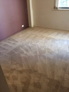 Ardross Carpet Restoration M&Co