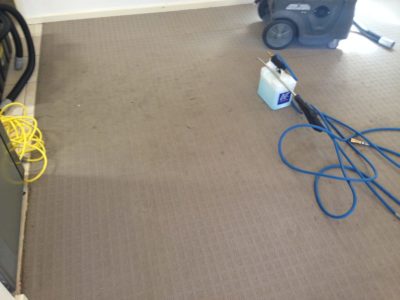 M&Co Carpet Odour Cleaning Melville
