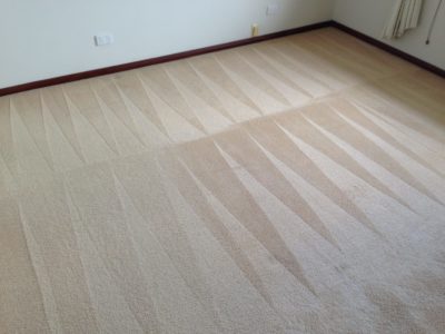 Professional Carpet Cleaning M&Co