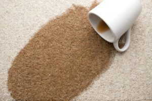 Carpet Coffee Stain Cleaning