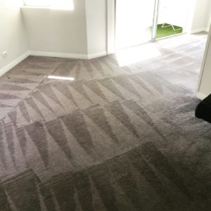 Ardross Emergency Carpet Cleaning