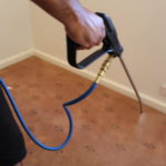 Professional Carpet Cleaning in Floreat By M&co