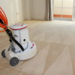 Carpet cleaning Shelley M&Co Services