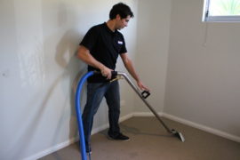 Dalkeith and region M&co Carpet Cleaners