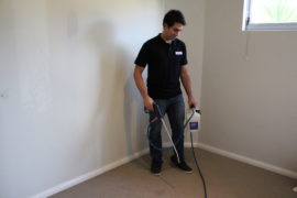 Professional carpet cleaners