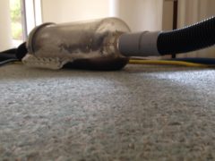 Carlton carpet cleaning