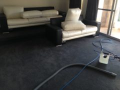 M&Co leather couch cleaning Melbourne
