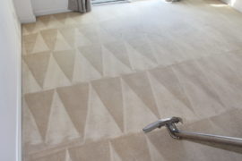 Carpet deep steam cleaning South Yarra East