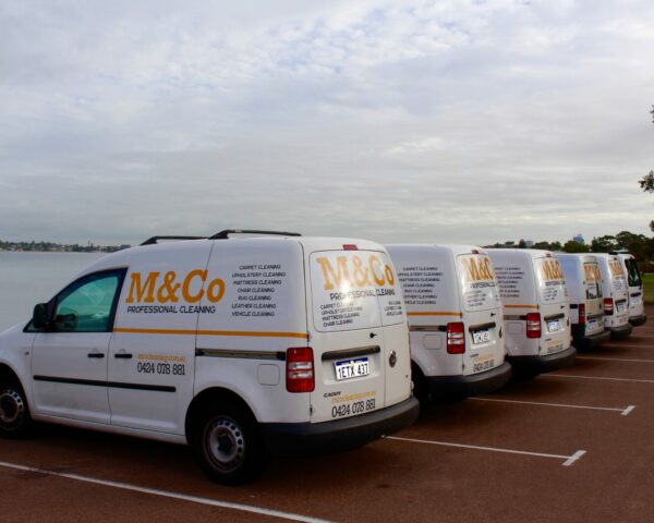 M&Co Carpet Cleaning